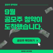 9월 공모주 신성에스티 청약 넣어볼까(ft. 8월 공모주 리뷰 포함)