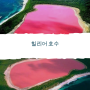 핑크 열풍! 세계적으로 인기 있는 분홍빛 명소 6곳