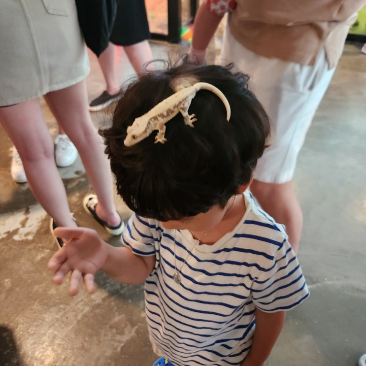 포항실내동물원 : 아이들과 동물체험이 가능한 와우쥬 포항점