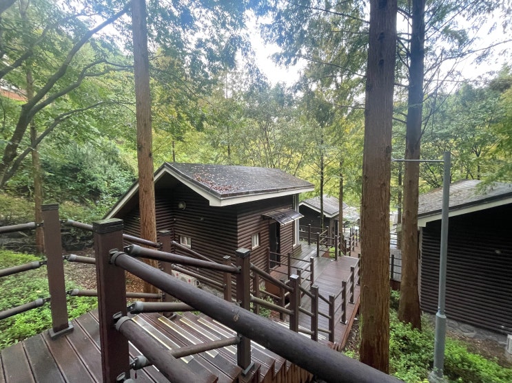 [숙소, 공간] 장태산 자연휴양림 - 숲속의 집 (벚나무, 잣나무)