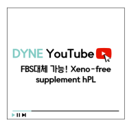 [다인실험실] FBS대체가 가능한 사람유래 Xeno-free supplement, hPL (human platelet lysate)
