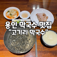 [용인/막국수 맛집] 수육마저 맛있는 "고기리 막국수"