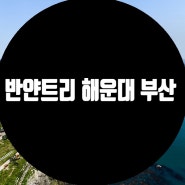 2025년 개장을 준비하고 있는 세계적인 그룹 반얀트리 호텔&리조트 그룹에서 신규 반얀트리 해운대 부산 회원권 분양 안내 입니다.