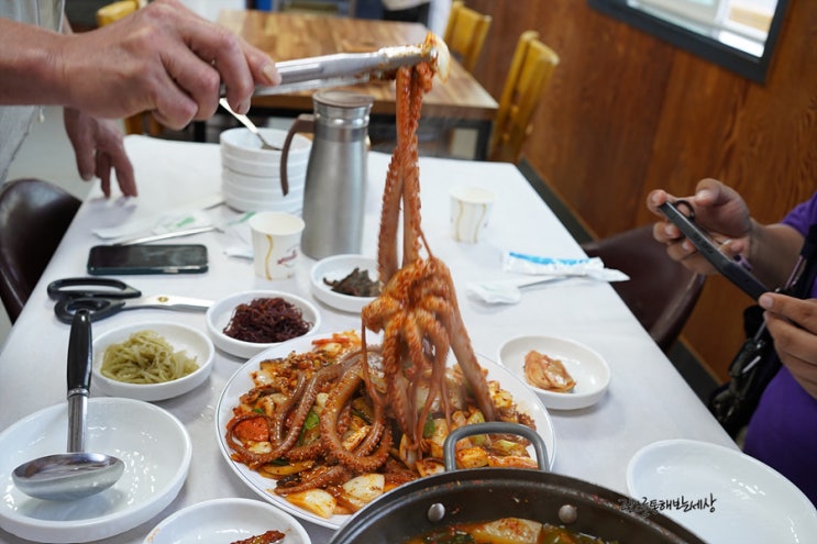 신안 퍼플섬 근처 맛집 사계절식당 싱싱한 낙지와 맛있는 밥