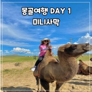 [몽골 여행 투어 DAY 1] :: 미니사막에서 낙타 체험 모래썰매 타기/ 신식 업그레이드 게르에서의 하루
