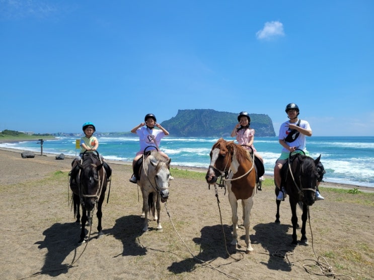 아이와함께 제주도가족여행.성산일출봉 승마체험.졸띠승마....