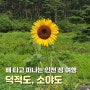 인천 섬 덕적도 소야도 여행, 4박 5일간의 여름휴가 두 번째 이야기