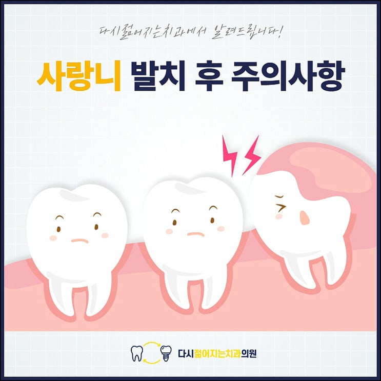 사랑니 발치 후 주의사항, 필요한 이유까지 확인하기! : 네이버 블로그