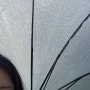 일상zip : 비와 나의 상관관계