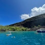 하와이 신혼여행 2일차(1) - 코나스타일 캡틴쿡 스노쿨링