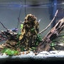 dragon stone ( ohko rock ) fish tank / aquascape