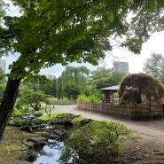 삿포로 여행코스::오타루 오르골당,오타루운하,르타오,나카지마공원,마츠리,이소마루수산