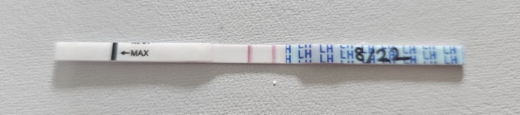 배란기 테스트:배테기 두줄:임신 확인 후기 : 네이버 블로그