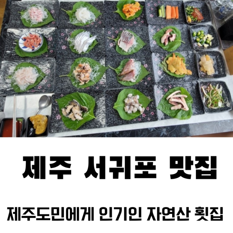 제주 서귀포 자연산 횟집 부두회수산 자연산 회 부채새우 다금바리 한치회 가족식사 : 네이버 블로그
