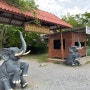 태국 가족여행 패키지 코끼리 트래킹 먹이주기
