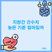 지방간 간수치 높은 기준 얼마일까