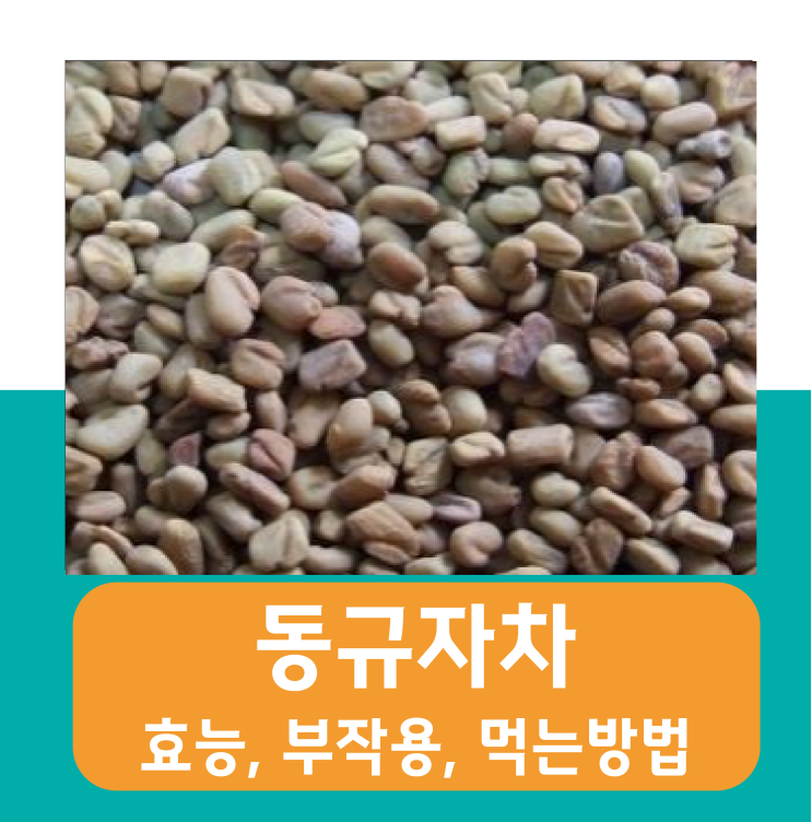 동규자차 다이어트에 좋은 음식! 효능, 부작용, 먹는 법 : 네이버 블로그