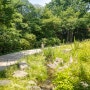 여름이 제일 아름다운 곳, '남산야외식물원'이야기