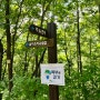 [제천여행] 국립 제천 치유의 숲 / 가벼운 산책 가능한 곳, 경치 좋은 곳, 시설 좋은 산책로 🌳🚶🏻♀️🚶🏻♂️/제천가볼만한곳