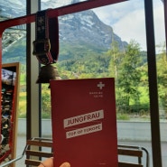 스위스 융프라우(그린델발트 터미널, 아이거글레처) 날씨 옷차림과 신라면