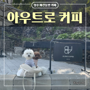 청주 근교 상당산성 카페 | 아우트로커피 (강아지 동반 가능)
