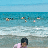 강원 양양 | 송전해수욕장 맨손 째복 조개 잡고 가족과 키즈 서핑 하기 좋은 동해 바다