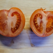 여름 제철과일 효능과 보관방법 알아보기 토마토 포도 자두 복숭아