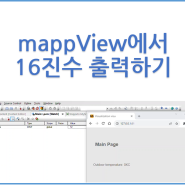 mappView에서 16진수(Hex)로 글자 출력하기