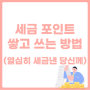 세금으로 포인트 쌓고 쓰는 짠테크 방법