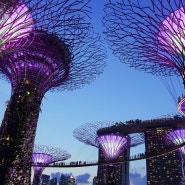 싱가포르 9월, 10월, 11월 날씨와 옷차림 정보