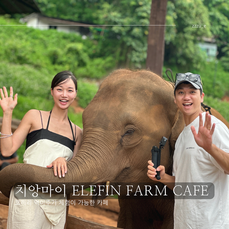 태국 치앙마이 코끼리 카페 엘레핀 팜 Elefin Farm Cafe 코끼리 먹이주기 체험 : 네이버 블로그