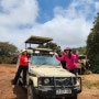 [탄자니아 여행 4] 세계 최대 칼데라 분화구 응고롱고로 사파리 / 코뿔소 나와라 오바 / 게임 드라이브 4일차