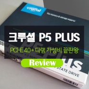 마이크론 Crucial P5 Plus M.2 NVMe (1TB) SSD 리뷰