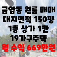 전북대 원룸 매매 / 금암동 원룸 매매 대지150평 1층상가 1칸, 19가구주택 월 669만원 수익발생