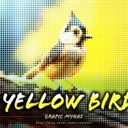 Yellow Bird 옐로우버드