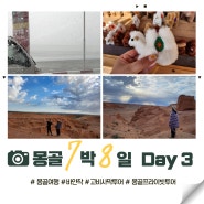 몽골 여행 Day 3 - 소나기, 바양작/바얀작, 낙타인형, 유목민 게르 후기