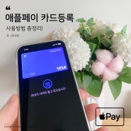 한국 애플페이 카드 등록 후 사용법 총정리!