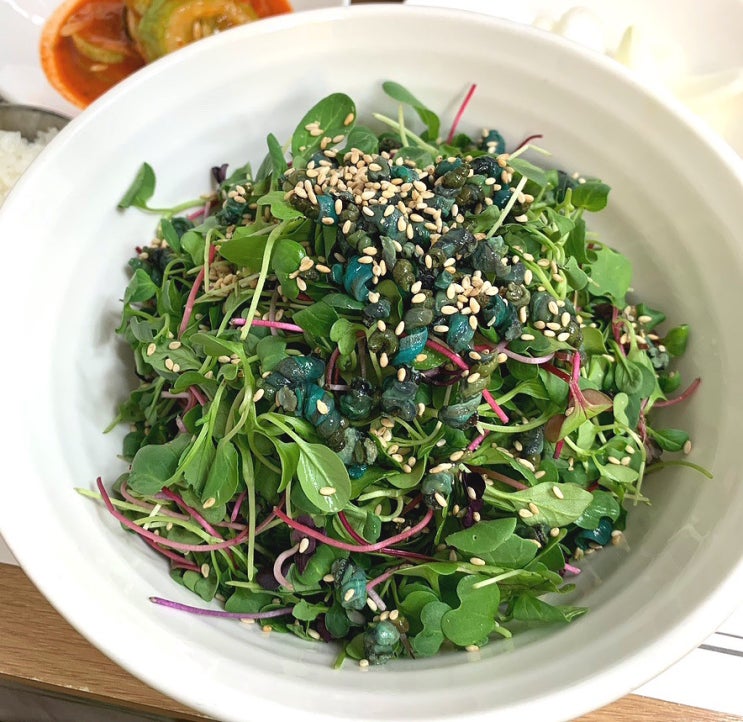 둔산동 별장 올갱이비빔밥&올갱이해장국 듬뿍맛집 내돈내산 대전로컬맛집 : 네이버 블로그
