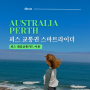 호주 | 호주 여행 퍼스 대중교통 스마트 라이더 퍼스 공항 구매하는 법 및 충전과 이용 방법