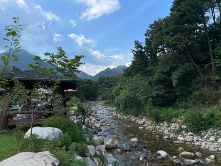 경기도 양평 용문 카페 추천, 계곡을 즐길 수 있는 "젤코바"