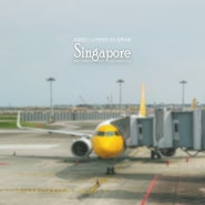 싱가포르 여행 ❙ 창이국제공항 SATS 라운지 + 스쿠트항공 TR610편 타고 방콕으로!