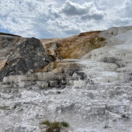 [Yellowstone ⑥/Day 2] 옐로우스톤 온천지대 맘모스 핫 스프링스의 고급진 대리석같은 테라스