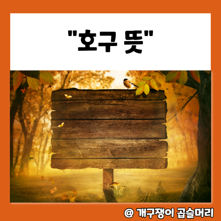 호구 뜻 여러 가지 의미가 있는 거 알고 계셨나요 : 네이버 블로그