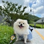 애개육아 남산공원 호현당 산책