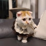 [모란 시장 고양이 모모] 23년 FW 뉴시즌 뉴룩 -고양이 케이프 추천