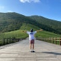 무박 [영남 알프스] 3봉 간월산 신불산 영축산 등산 후기