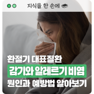 환절기 감기와 알레르기 비염으로 고생하고 있다면? (Feat. 원인과 예방법)