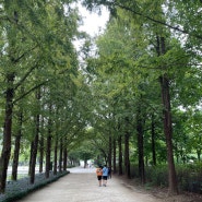 서울숲 아이와 놀기 좋은 곳 주차정보