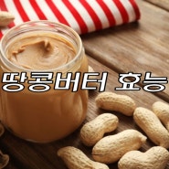 땅콩버터 효능 수면과 다이어트에 도움을 준다?