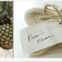 지속 가능한 섬유 소재 :: 파인애플 잎 섬유(Pineapple Leaf Fiber, PALF)